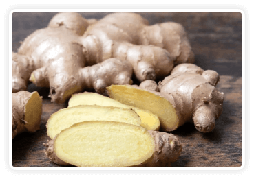 Ginger Root