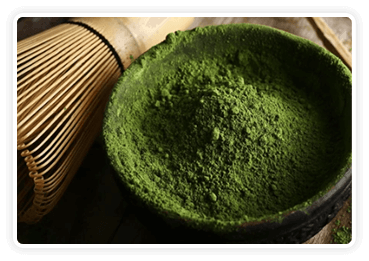 Green Tea Extract