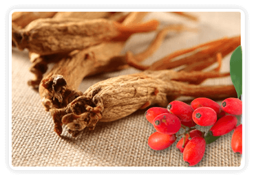 Ginseng
